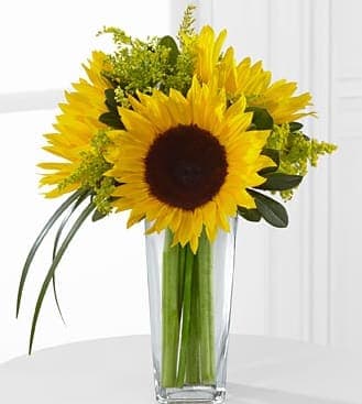 FTD Sunshine Daydream Bouquet - The FTD Sunshine Daydream Bouquet highlights stunning sunflowers to  capture their every attention with its bright beauty. Gorgeous  sunflowers are accented with solidago, lily grass blades and lush greens  to create a memorable flower bouquet. Presented in a clear glass  tapered square vase, this arrangement sends your warmest wishes and  highest hopes for the days ahead.  Approx. 14H x 10W. BETTER bouquet includes 4 stems. 