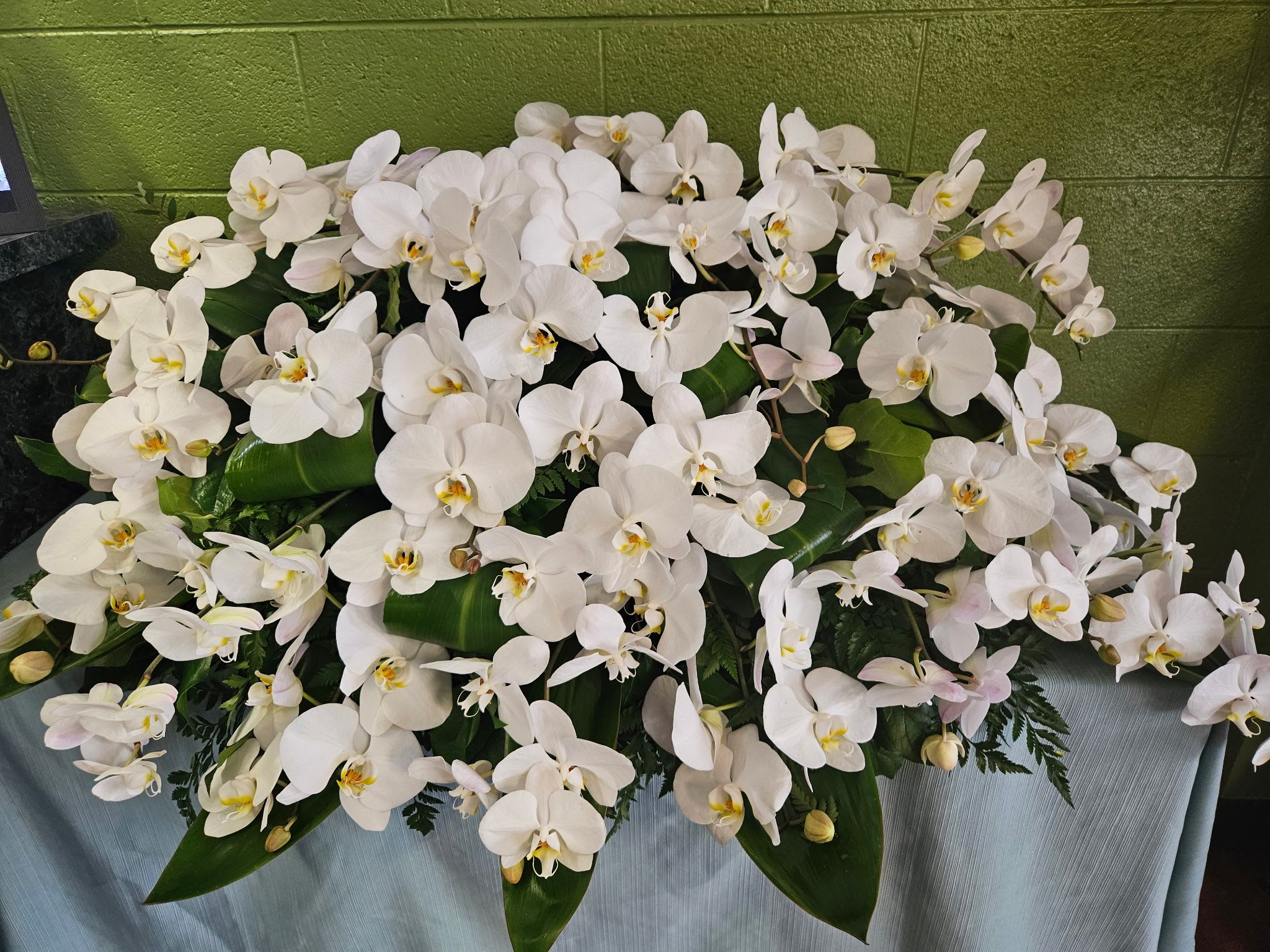 White orchid arrangement with broad green leaves