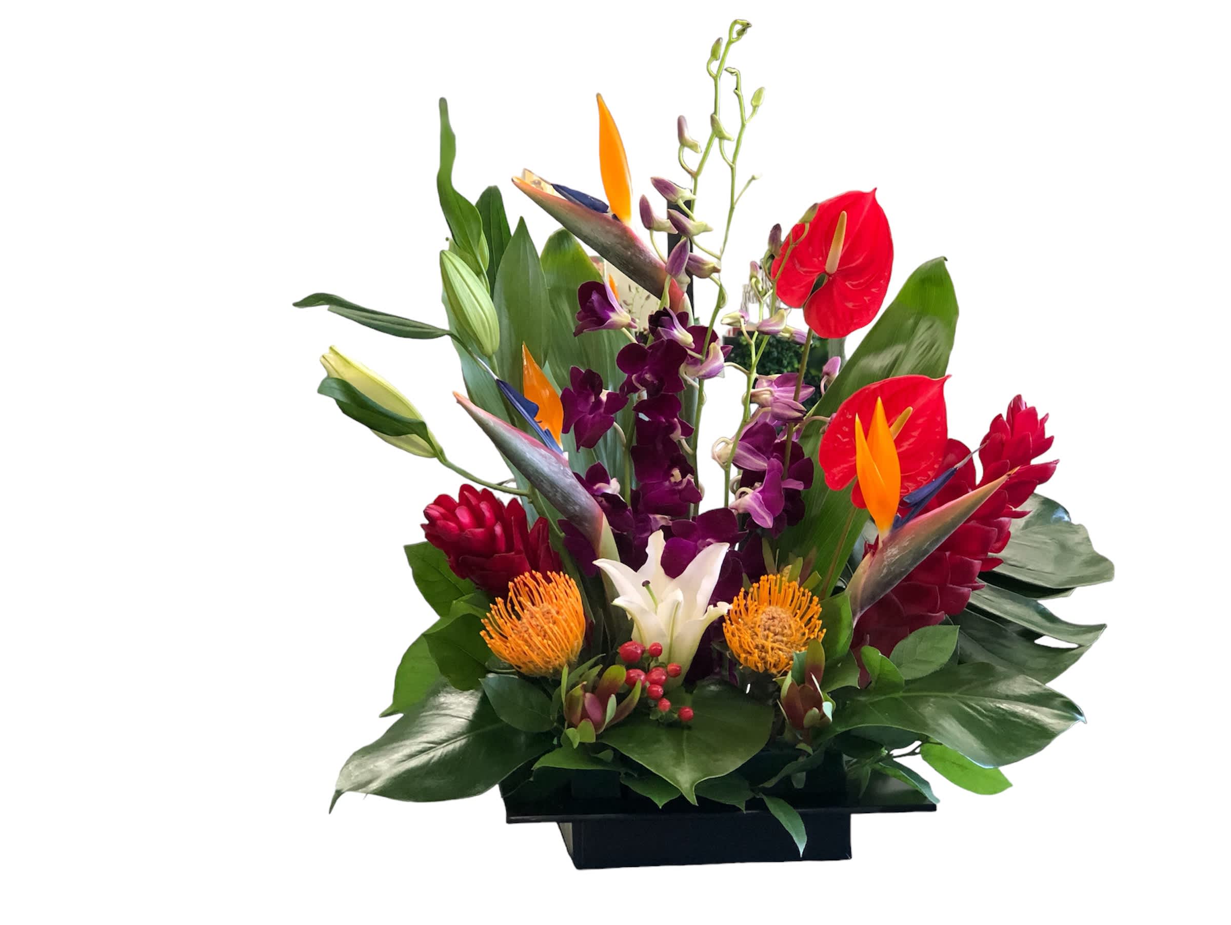 Tropical Paradise - Perfect tropical flowers for your best friend or lover