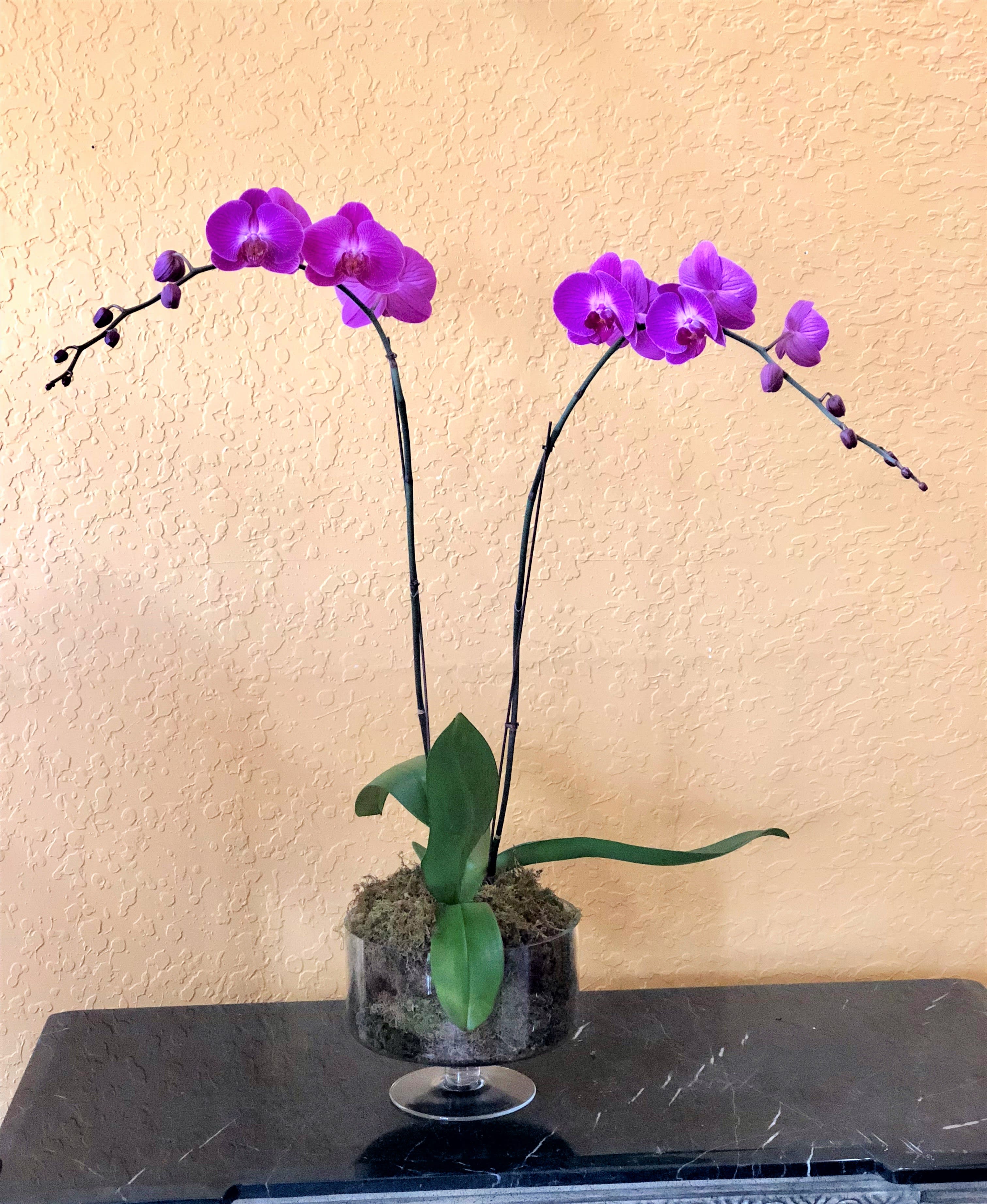 Purple orchids in a glass pedestal vase