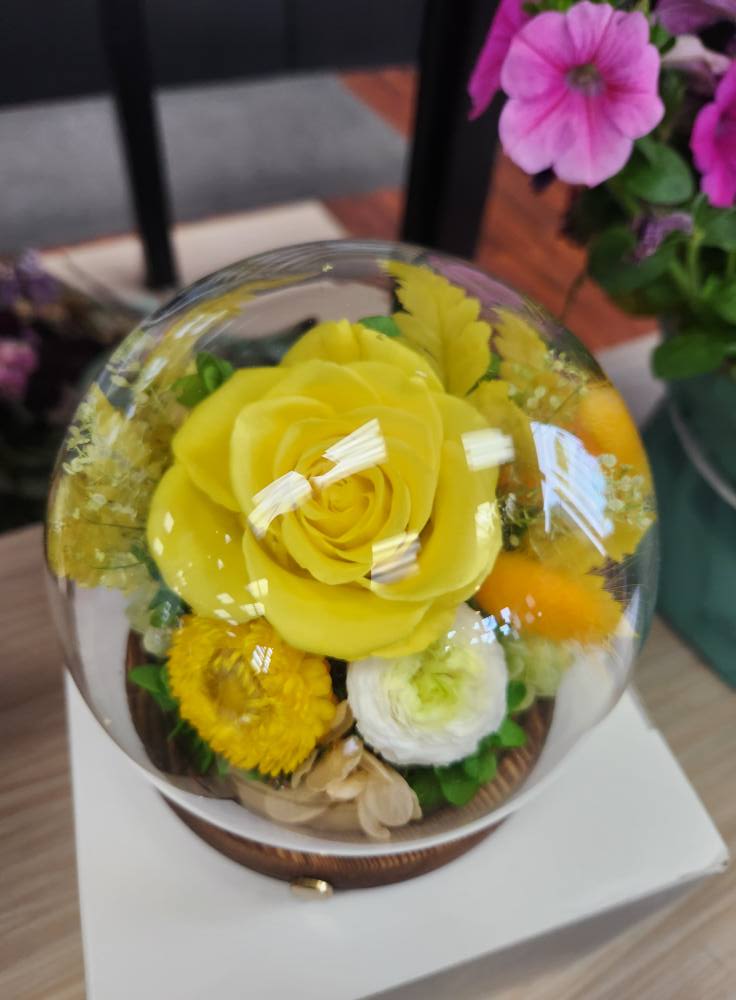 Preserved Yellow Rose in Light Up Globe - Large preserved yellow rose takes center stage beneath a clear glass dome in this light-up globe-an everyday gift arrangement perfect for birthdays, thank-yous, or a thoughtful just-because surprise. The bright yellow palette reads cheerful and sunny, so the person you're thinking of will immediately feel lifted the moment they see it on a desk or bedside table.  Surrounding the focal rose are smaller preserved chrysanthemums, ranunculus, and delicate filler blooms in white, pink, and soft orange that add texture and softness to the compact composition. The arrangement sits on a round wooden base and arrives in a white display box, making it ready to present as a keepsake-style gift that doubles as long-lasting décor.  Designed to be a polished, decorative accent, this piece is ideal for someone who appreciates a tidy, low-maintenance display-no watering required. Choose this light-up globe when you want a lasting, cheerful reminder of your affection; sizing and care are simple thanks to the preserved flowers and protective glass dome.