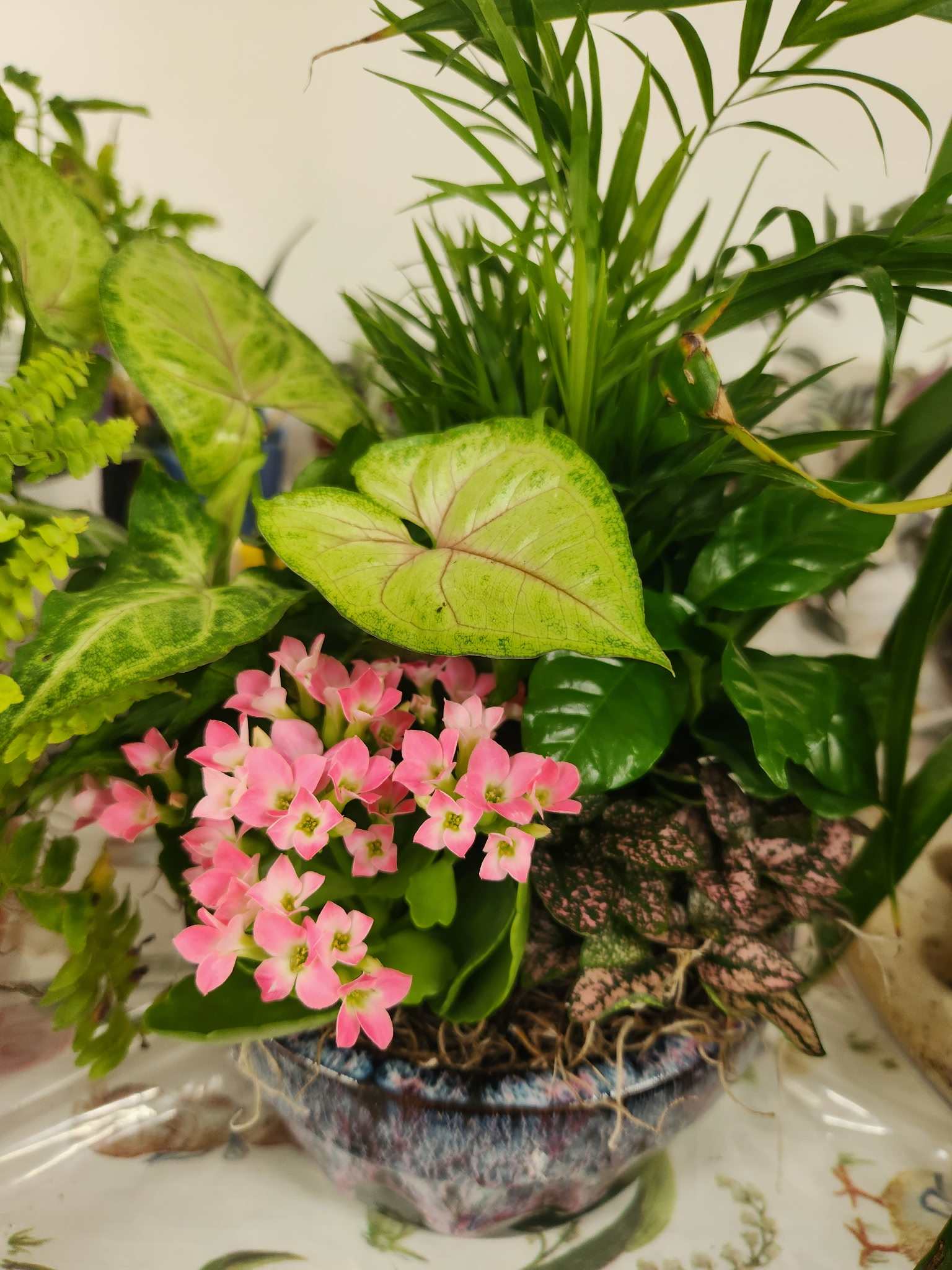 Pink flowers in a decorative planter with assorted green foliage