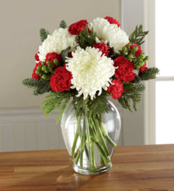 Red and white carnations in a clear glass vase