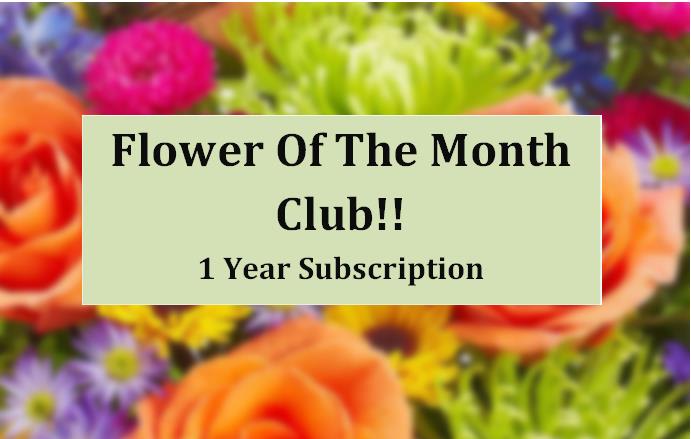 Flower of the Month Club subscription card over a blurred floral background