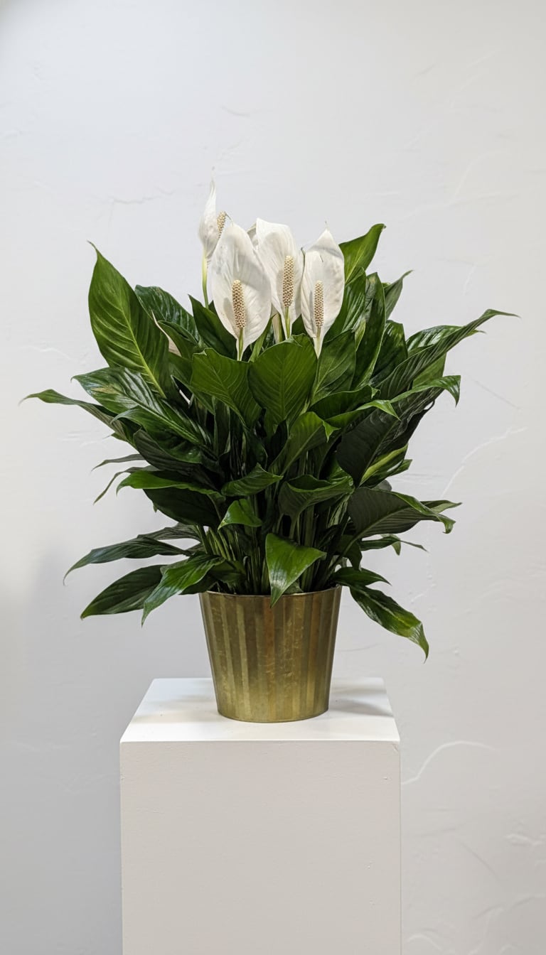 8" Spath in Metal Green Tin - 8" Spath inside Green Metal Tin