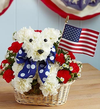 White and red carnation teddy bear arrangement in a wicker basket with an American flag