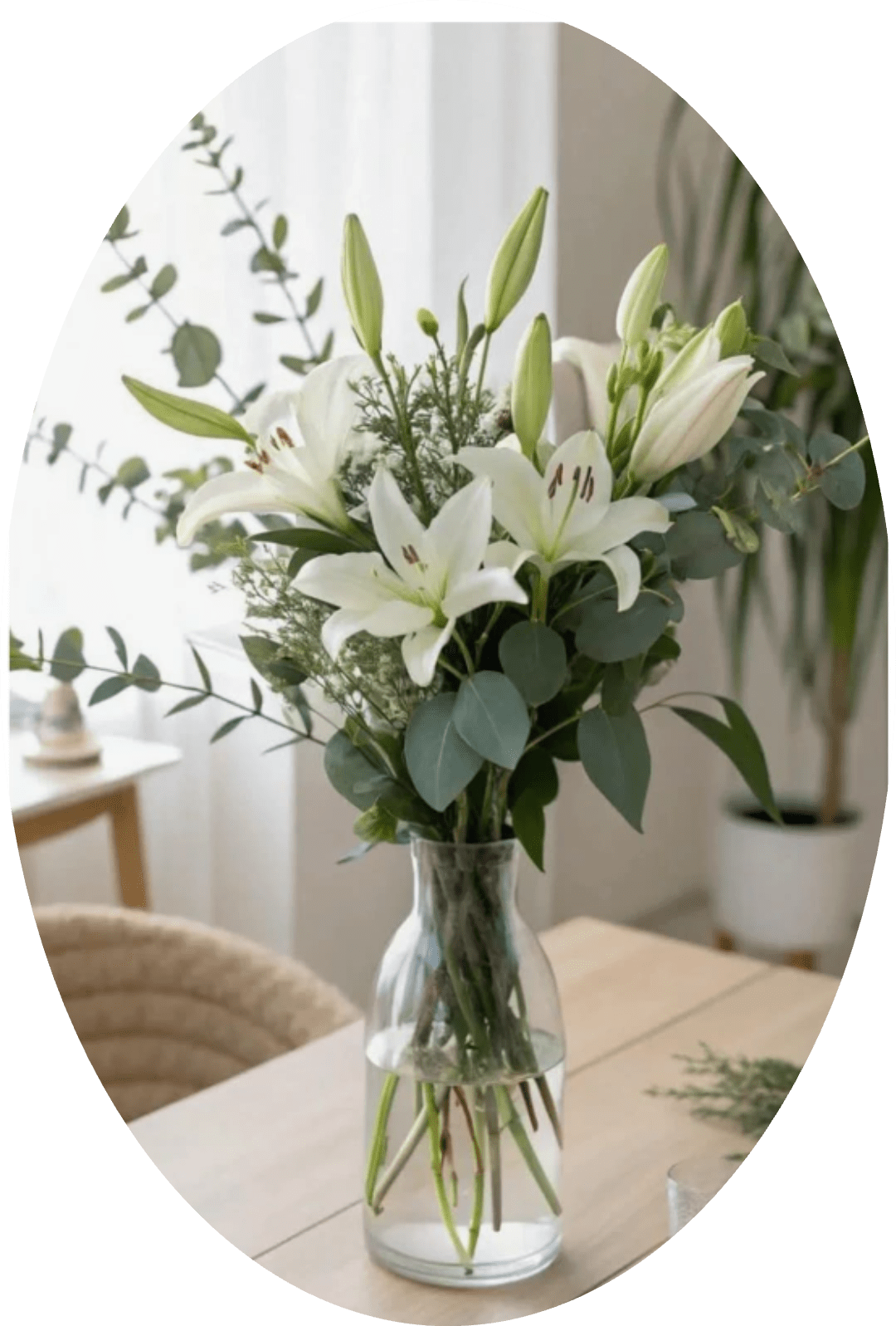 Montevideo  - Pure white lilies rise gracefully in a clear glass vase, a calm and refined choice for a sympathy arrangement, thank-you gift, or quiet everyday display. The upright stems and unopened buds create a sense of hopeful unfolding-the kind of bouquet that helps the person you're thinking of feel comforted, seen, and gently held.  The design pairs fragrant white lilies with airy eucalyptus and fine green filler for a soft, natural texture that lets the blooms take center stage. The restrained white-and-green palette keeps the look understated and elegant; the vase presents the stems cleanly for a light, vertical silhouette that fits well on a mantel, bedside table, or office desk.  This arrangement is perfect for sending solace, appreciation, or simple beauty without fuss. Easy-care lilies and sturdy greens will open over a few days-trim stems and refresh the water every couple of days to keep them looking their best.