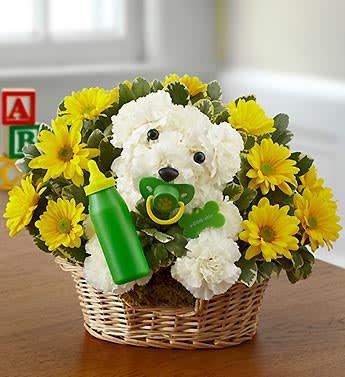 New Baby A-Dog-Able - Congratulate the proud new parents with the newest pup in the litterâour truly original New Baby a-DOG-able arrangement.  Hand-delivered by us (not the stork), this playful pooch is crafted from the freshest white carnations and arrives surrounded by bright yellow poms. Holding a charming baby bottle and pacifier, he's ready to deliver instant smiles.a-DOG-able arrangement of white carnations, yellow poms and variegated pittosporum, accented with a baby bottle and pacifier.  Crafted by our florist in the shape of an adorable dog, complete with eyes, nose and a-DOG-able name tag.  Arrangement measures approximately 11.5"H x 10"L  Artistically designed by our florist in a willow dog bed lined with sheet moss.  We select the freshest flowers available so colors and varieties may vary