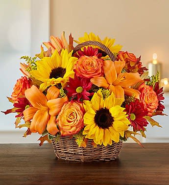 Fields of Europe for Fall Basket - Imagine rows of colorful blooms lining the European countryside. Now imagine bringing that picturesque scene to life for someone very special! Inspired by our best selling autumn arrangement, we’ve hand-gathered the most brilliant autumn blooms into a rustic handled willow basket so that you can take the time to remind them that, no matter how near or far, they’re on your mind and in your heart.  Our florists hand-design each arrangement, so colors, varieties and container may vary due to local availability All-around arrangement of circus or bi-color orange roses, sunflowers, orange Asiatic lilies, red daisy poms; accented with solidago, variegated pittosporum and dried oak leaves Artistically designed in a dark willow handled basket with liner; measures 6"H Lilies may arrive in bud form and will open to full beauty over the next 2-3 days Large arrangement measures approximately 11"H x 12"L Medium arrangement measures approximately 11"H x 9.5"L Small arrangement features carnations instead of roses and lilies; measures approximately 10"H X 8.5"L