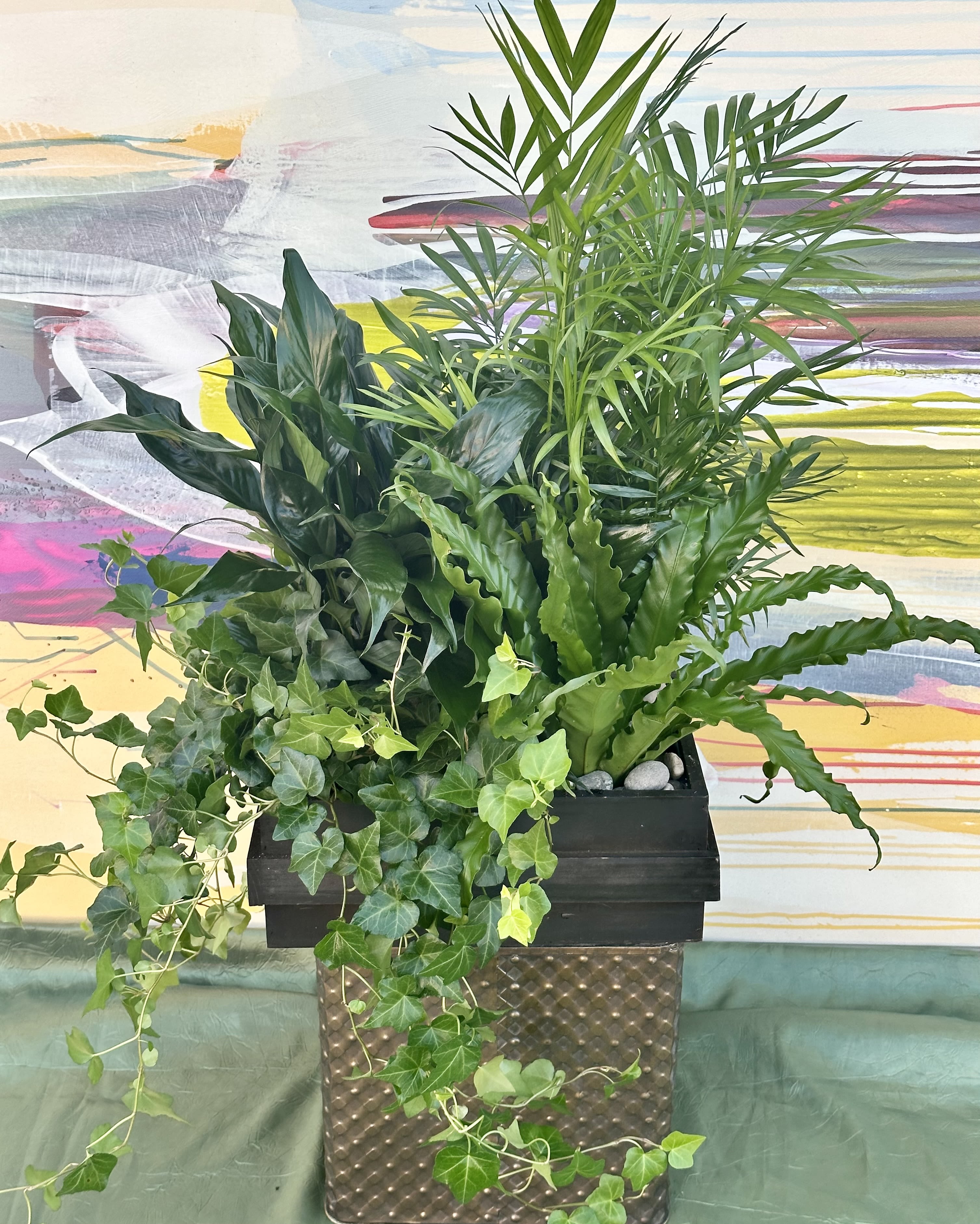 Lush green potted plant arrangement with trailing ivy in a black container
