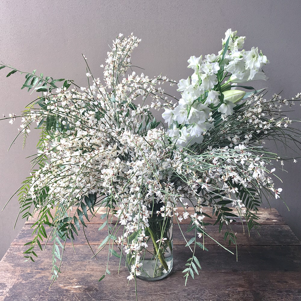 Eira (Gallery Photo) - Soft white tones of ginesta evoke a sense of a winter wonderland beauty!  Send your merriest thoughts with these blooms!