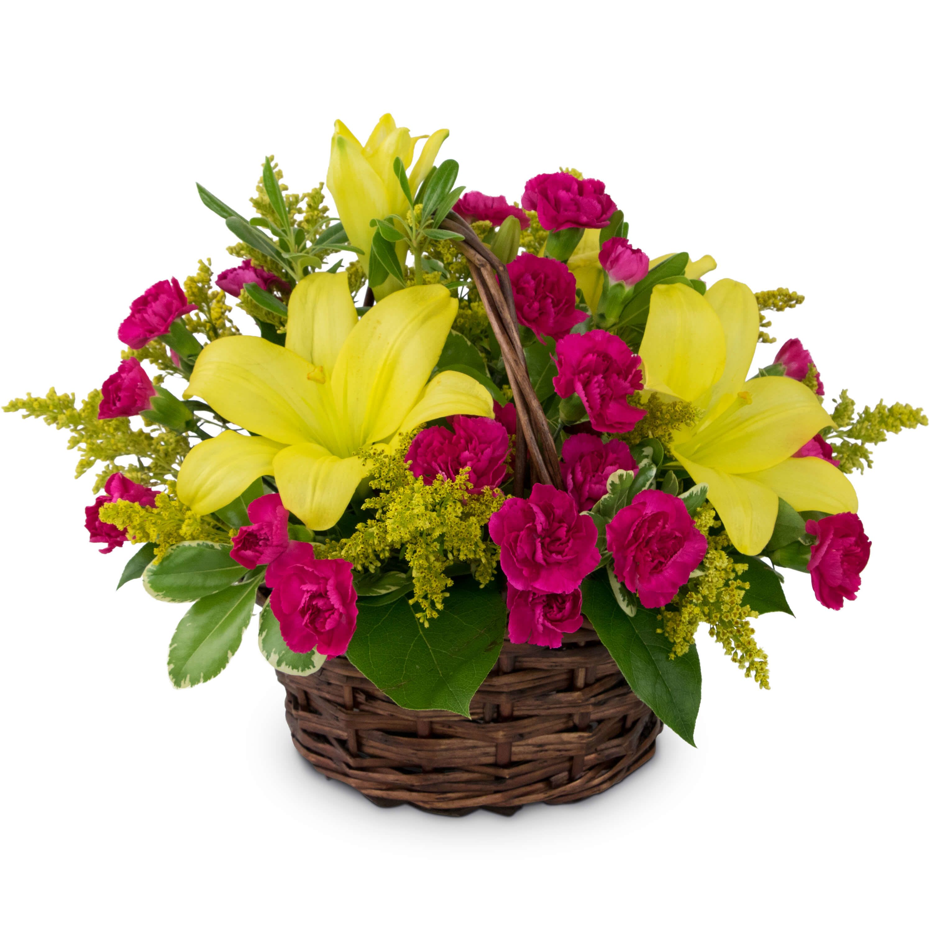 Sweet as Summer - Perfect for a pick-me-up or welcome to the neighborhood, the blooms are as Sweet as Summer in this basket. Yellow lilies and bright pink carnations evoke memories of sherbet and sunshine. Carefree times are sure to come with this arrangement.