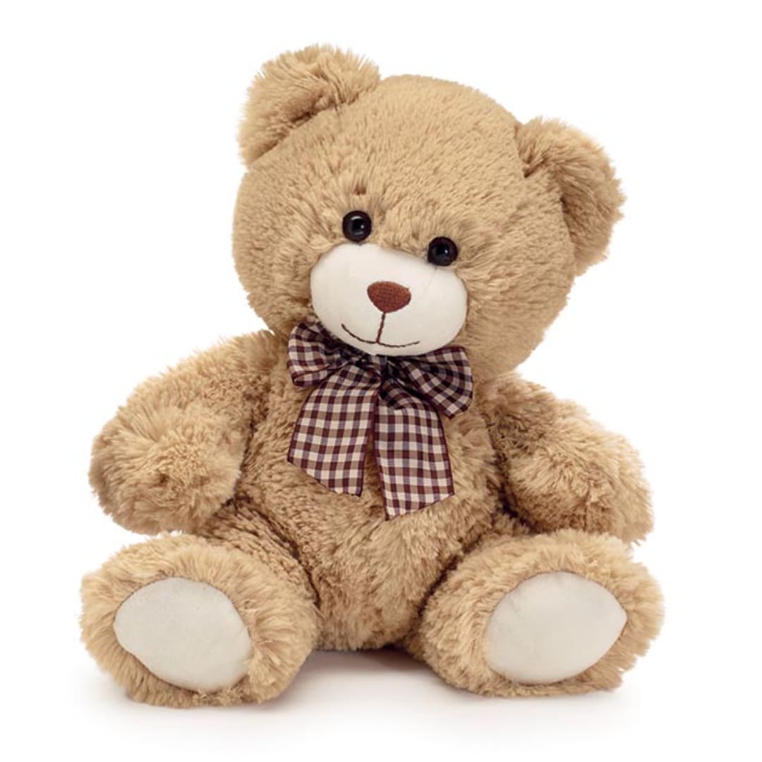 Plush teddy bear with a plaid bow on a white background