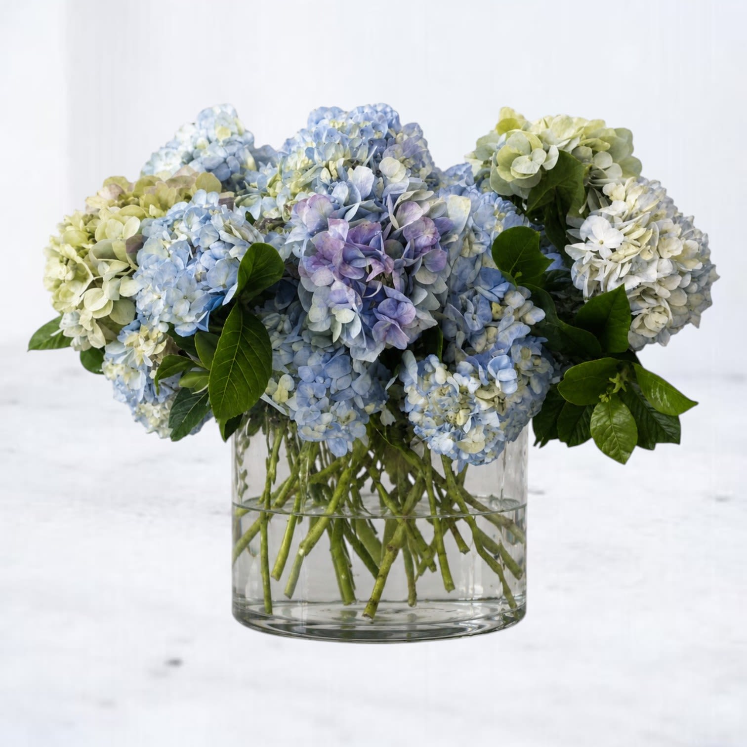 Coastline - Coastline is a serene, modern floral arrangement featuring lush blue hydrangea layered with soft green tones and fresh seasonal foliage, designed in a clear glass vase for a clean, coastal-inspired look. The blend of airy blues and natural textures creates a calming, elevated design that feels effortless yet refined.  Perfect for sympathy, get-well wishes, thank-you gifts, or sophisticated everyday florals, Coastline brings a sense of quiet luxury and tranquility to any space. Designed with premium hydrangea for fullness, texture, and soft movement.  Available for same-day flower delivery in Magnolia, The Woodlands, Montgomery, Conroe, Spring, Tomball, and surrounding Houston areas.