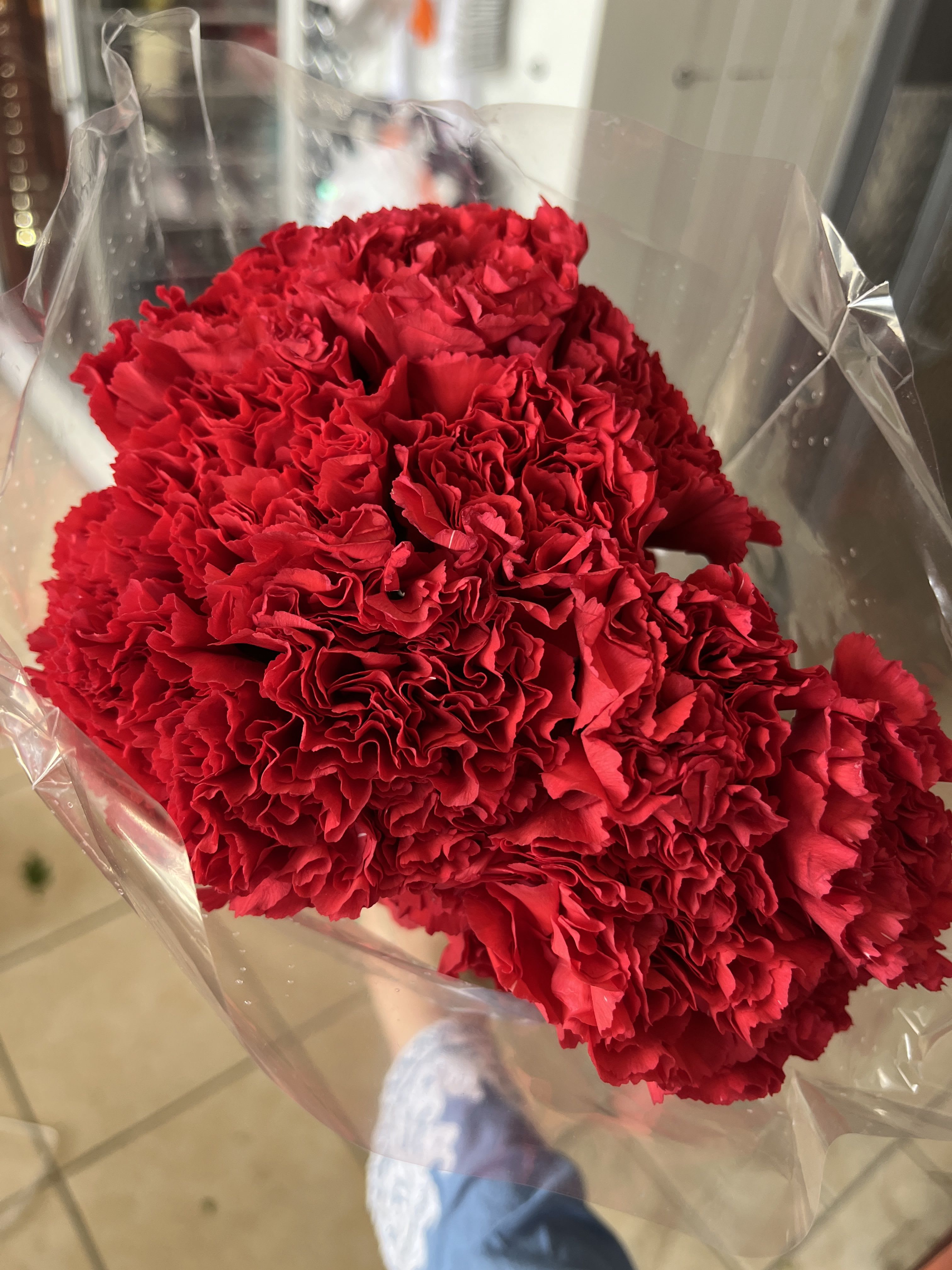 Bouquet of red carnations wrapped in clear plastic