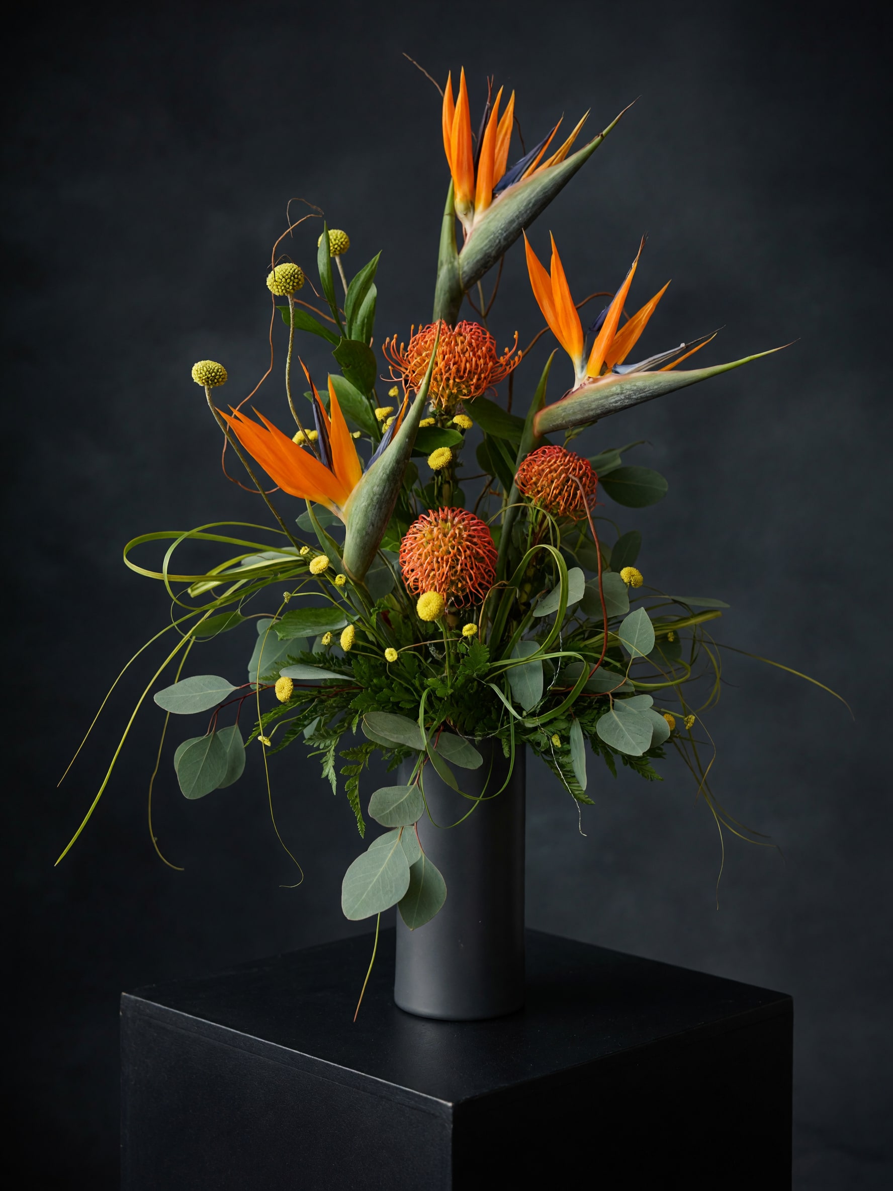 Tropical Escape - Bold orange bird of paradise blooms soar above bold orange pincushion protea in this Tropical Escape flower arrangement, a striking choice for a celebratory centerpiece or a "perfect for him" gift. As a tropical flower arrangement for birthdays, graduations, or to mark a big achievement, it announces confidence and energy-the kind of floral statement that makes the recipient feel seen and celebrated.  The design is airy and sculptural: long looping grasses and broad eucalyptus-like foliage sweep around the central flowers, with small yellow button accents adding bright contrast. The vivid orange and yellow tones pop against deep green leaves and the included black cylindrical vase, giving the piece a dramatic, modern tropical feel. Tall, architectural lines and layered textures create movement and visual height-ideal for entryways, office lobbies, or a bold home display.  Sized for impact, Tropical Escape works well as a statement display on a console table or as a showpiece at a celebratory event. For best longevity, keep the vase filled with fresh water and place away from direct heat or sunlight; replace water as needed to keep blooms looking their best.