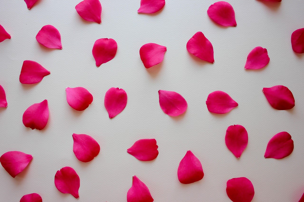 Loose Rose Petals (choose color) - Petals &amp; Blooms Flowers offers rose petals for your special night, wedding, event or any occasion. We also order a BULK BUY loose rose petal option. Bulk Buy loose rose petal options that  Buy online and send a note to florist at checkout of the rose petal color(s) you require.  **BEST PART ABOUT OUR FRESH ROSE PETALS-- THEY ARE NATURALLY BIODEGRADABLE!** breaking down like other organic matter and adding nutrients to the soil, making them an eco-friendly choice for confetti or decor.  **BLACK ROSE PETALS MUST BE ORDERED 2 WEEKS IN ADVANCE OF YOUR DELIVERY DATE OR FLORIST WILL NOT ACCEPT YOUR ORDER REQUEST*