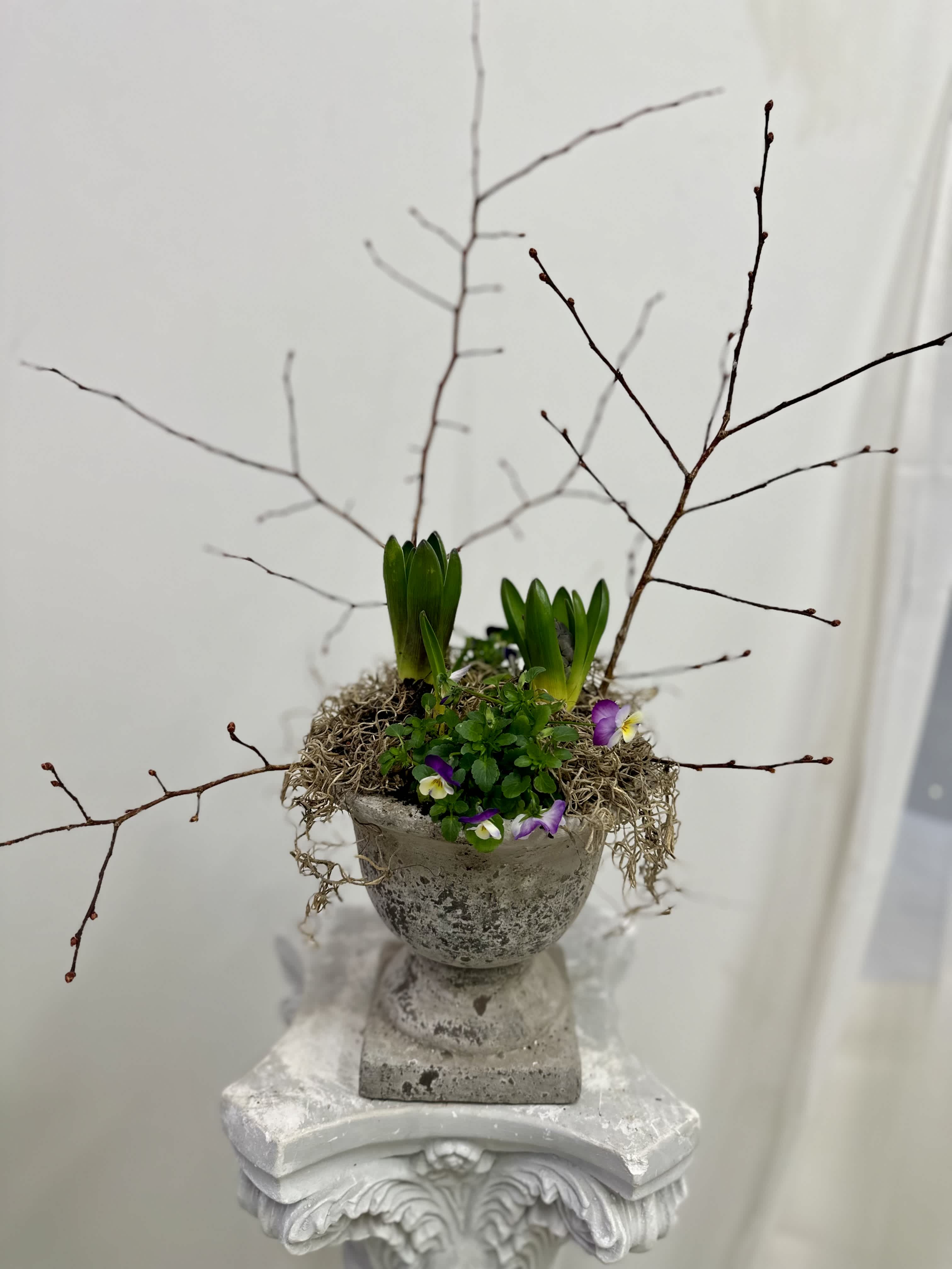 Vintage Bulb Garden by Westford Florist Art by Veny - Vintage Bulb Garden by Westford Florist Art by Veny is s fresh mixture of spring blubs including purple hyacinth and violets.