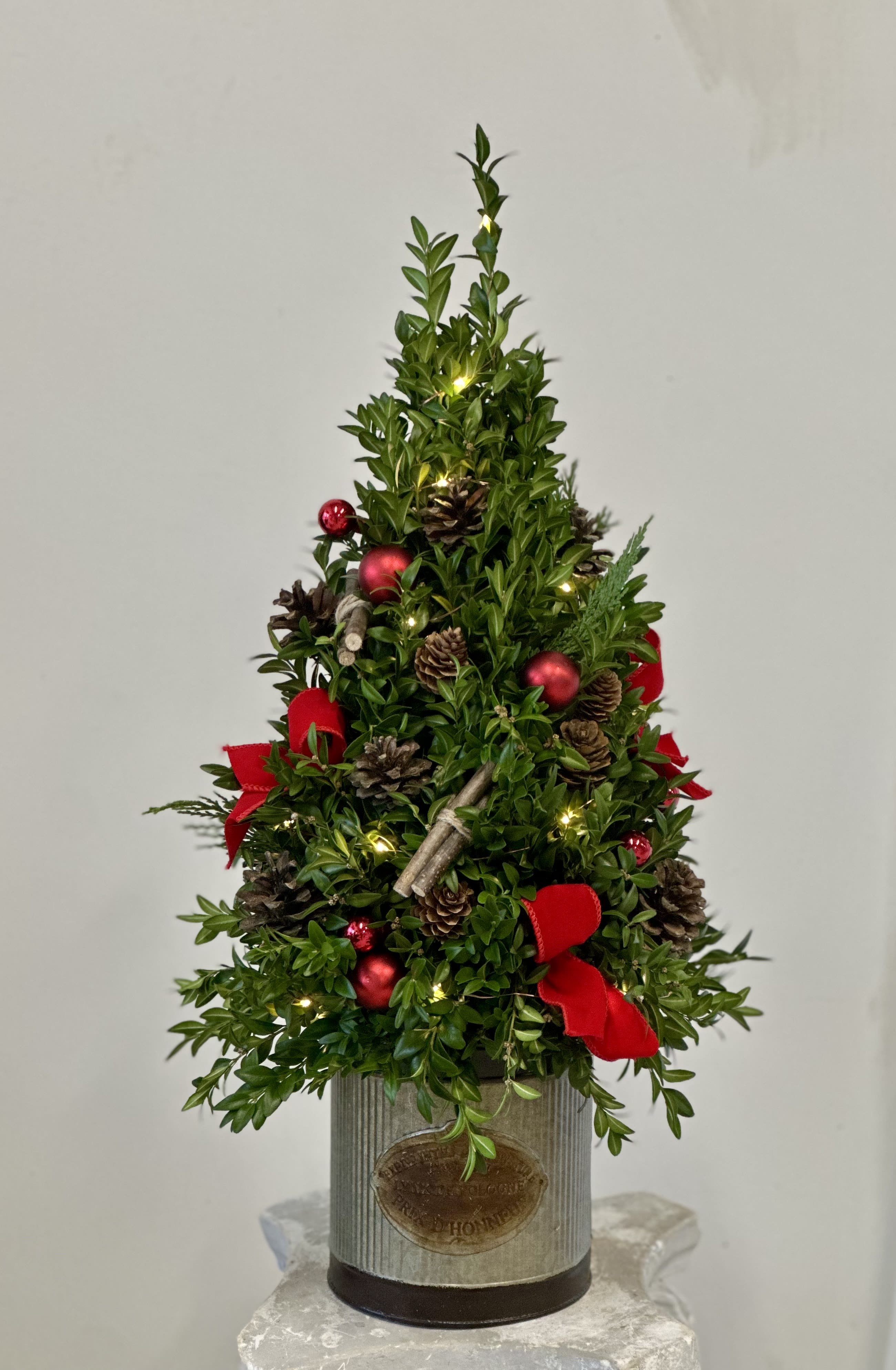 Country Charm Tree by Westford Florist Art by Veny - Enhance your seasonal décor with the Country Charm Tree by Westford Florist Art by Veny, a stunning blend of rustic elegance and festive cheer. Standing at an impressive 24 inches tall approximately, this meticulously crafted boxwood tree is artfully arranged in a charming tin container that evokes the warmth of countryside gatherings. Adorned with soft twinkling lights to create a cozy ambiance, it features delightful accents including a vibrant red ornament, natural pine cones, each element thoughtfully chosen to capture the essence of the holidays. The finishing touch is a luxurious Christmas red bow, adding sophistication to your festive setting. Ideal for any space in need of holiday spirit or as a heartfelt gift for loved ones; let this enchanting piece bring charm and joy to your celebrations all season long.
