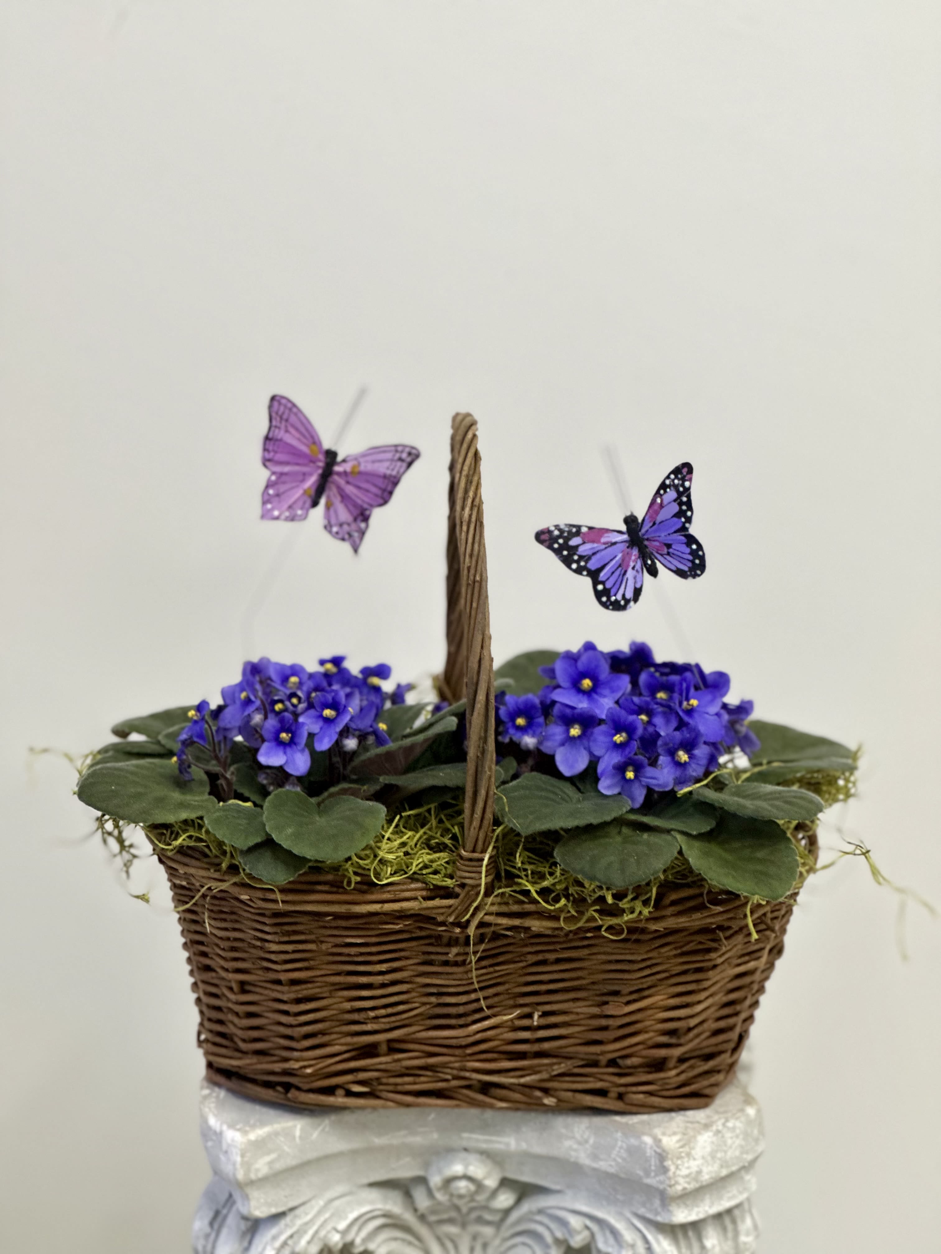 Violet Garden Basket by Westford Florist Art by Veny - Add a touch of charm to your home with the Violet Garden Basket by Westford Florist Art by Veny! This delightful arrangement features vibrant violets, artfully nestled in a rustic willow basket complete with an easy-to-carry handle. Perfect for brightening up any space or as a thoughtful gift, this beautiful piece brings warmth and joy wherever it goes. Treat yourself or someone special to the cheerful essence of spring—no green thumb required! Embrace nature’s beauty today with our signature style that speaks from the heart.