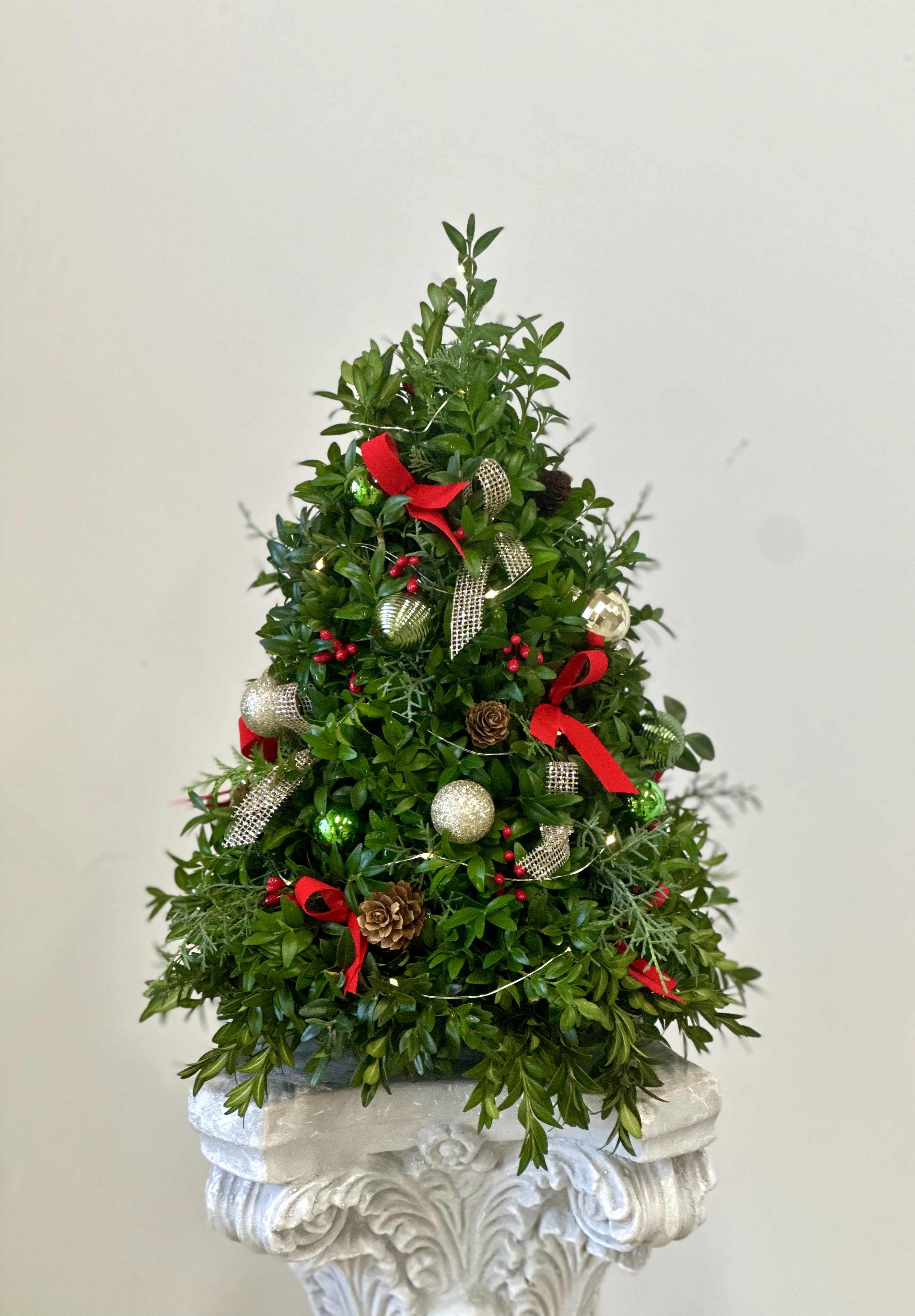 Boxwood Tree by Westford Florist Art by Veny - Bring home the magic of the holidays with our enchanting Boxwood Tree by Westford Florist Art by Veny. This charming piece celebrates the timeless spirit of Christmas, capturing the essence of winter greenery that has adorned our colonial villages for generations. Perfectly crafted to brighten your space, each tree comes twinkling with LED lights, creating a warm and inviting glow that’s sure to lift spirits. Whether you're adding cheer to your own décor or looking for a thoughtful gift, this long-lasting beauty is a delightful choice for any festive occasion. Let your home sparkle this season!