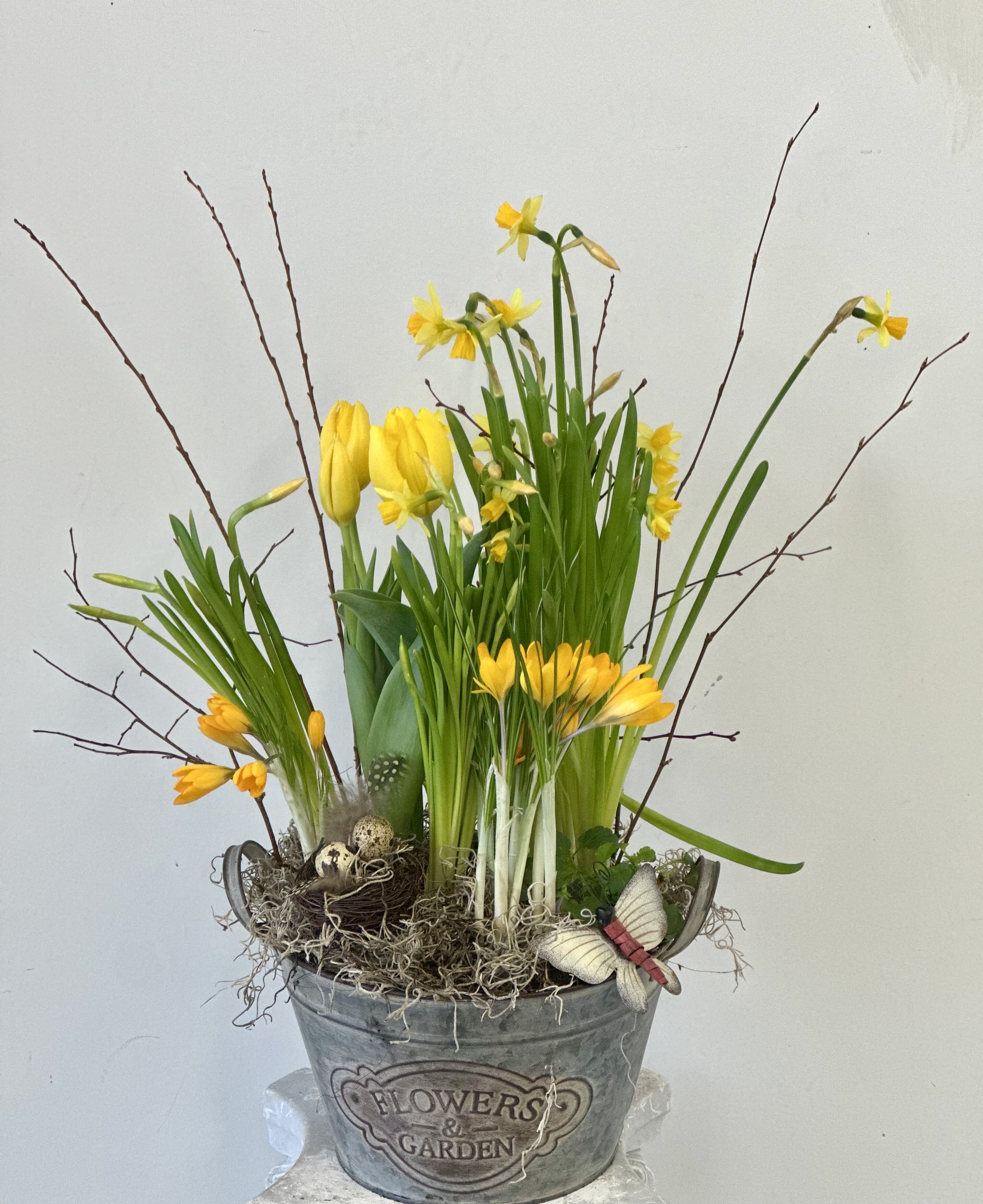 Fragrant Spring Garden by Westford Florist Art by Veny - Transform your space into a vibrant oasis with the Fragrant Spring Garden by Westford Florist Art by Veny! This delightful mix of fresh daffodils, enchanting tulips, cheerful crocuses, and playful pansies brings a burst of color and joy right to your home. Nestled in a charming clay pot and topped with an adorable butterfly accent, it's the perfect way to celebrate the beauty of spring. Whether you're brightening up your own living area or searching for that perfect gift, this lovely arrangement will uplift spirits and inspire smiles. Don’t miss out on bringing a touch of nature indoors—your very own slice of spring awaits!