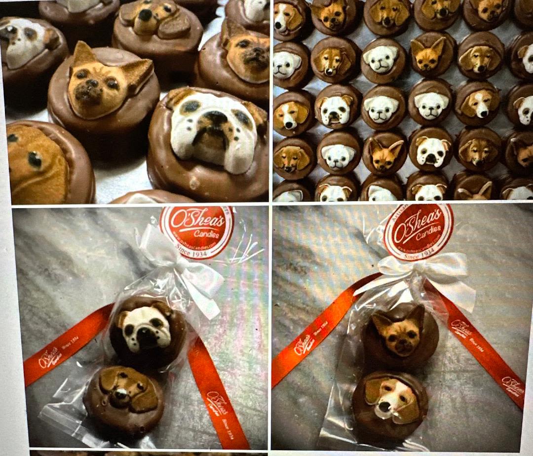 Chocolate dog-face candies arranged in gift packaging