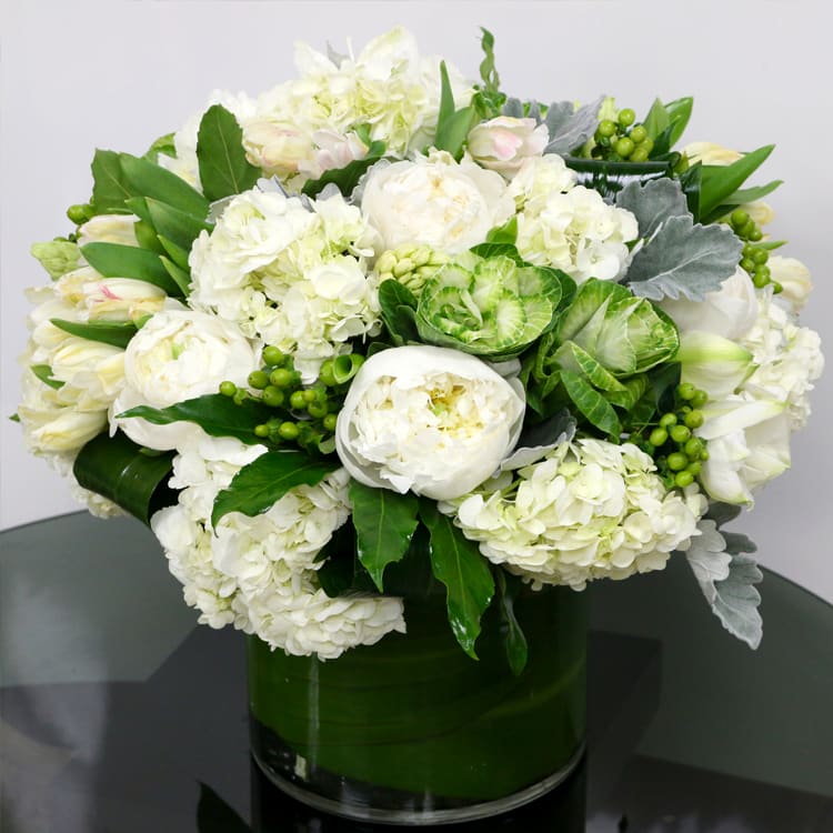 White and Green Chic Vase - White and Green Vase with Peonies or Garden Roses, Tulips, Green Kale, Hypericum and white Hydrangeas.     ** SEASONAL SUBSTITUTIONS MAY BE REQUIRED - PEONIES AVAILABLE in MAY / JUNE Only - Or By Special Order