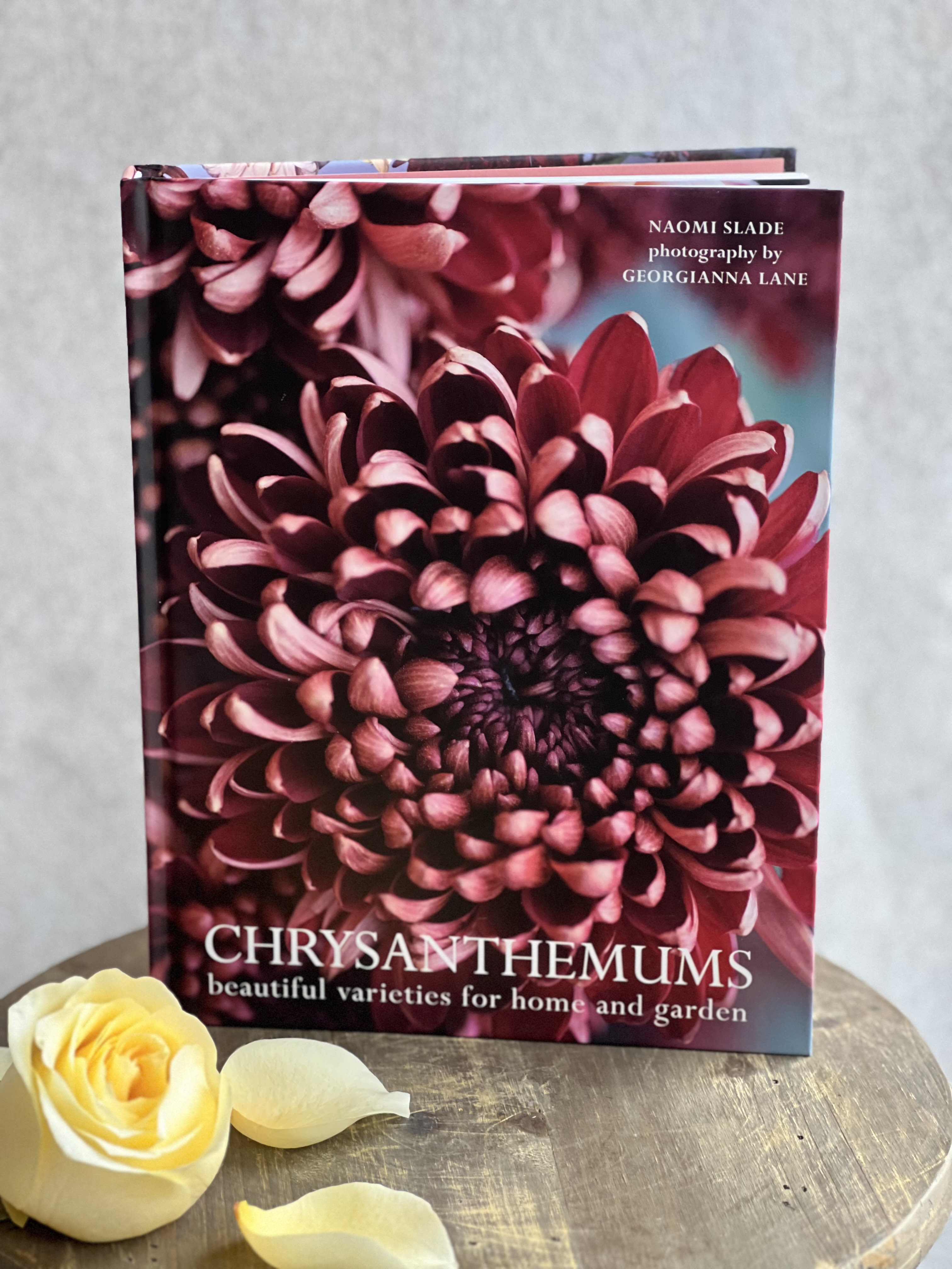 Chrysanthemums Book - Book