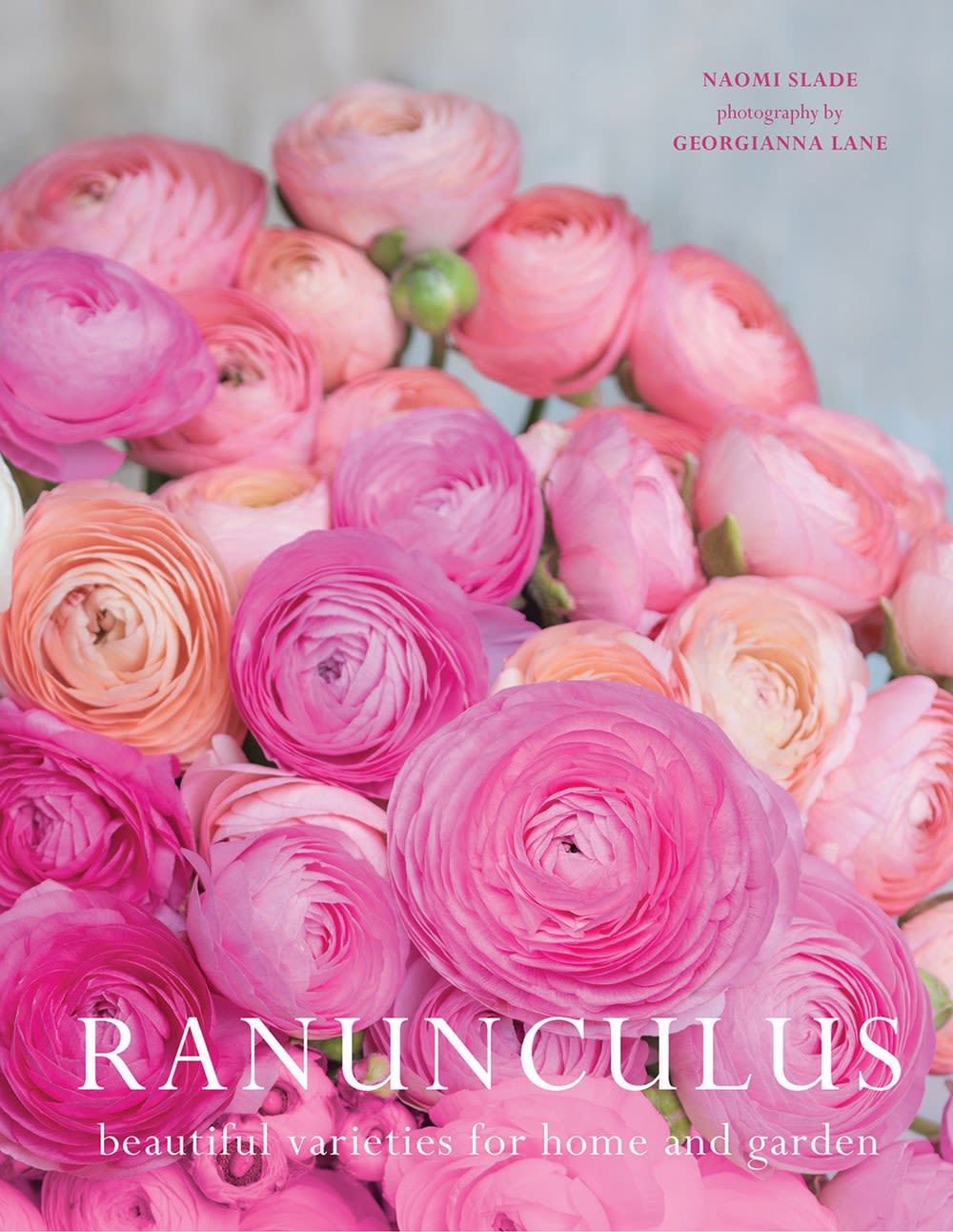 Ranunculus: Book  - Ranunculus: Beautiful Varieties For Home and Garden
