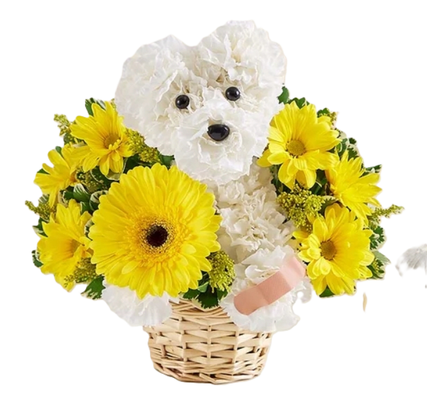 White teddy bear arrangement with yellow daisies in a wicker basket