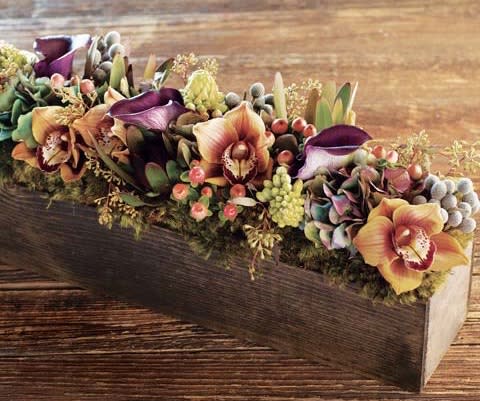 Feast #4 - Cymbidium orchids collect all the feast feature to your table