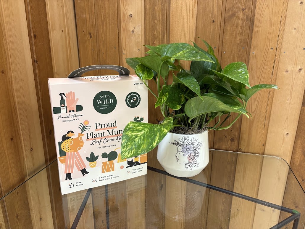Potted green houseplant beside a plant care kit box