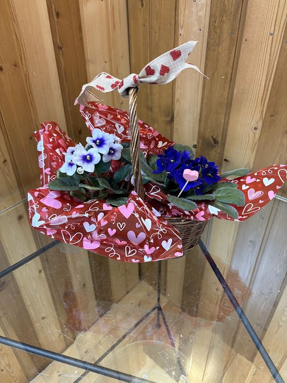 Basket of potted violets wrapped in heart-patterned paper