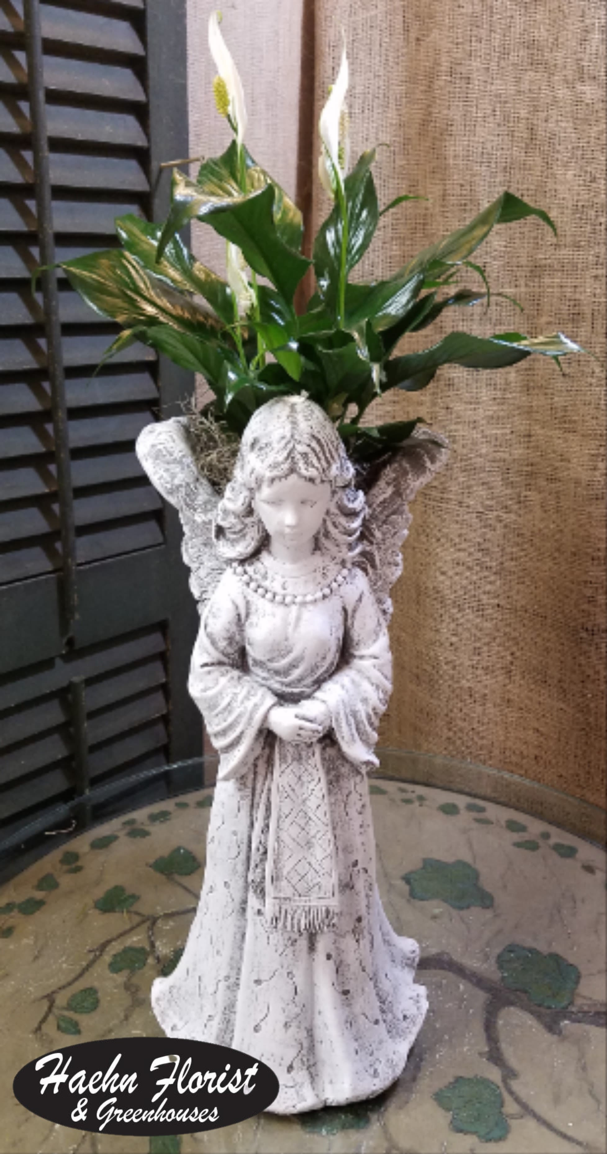 Angel statue planter with white peace lilies