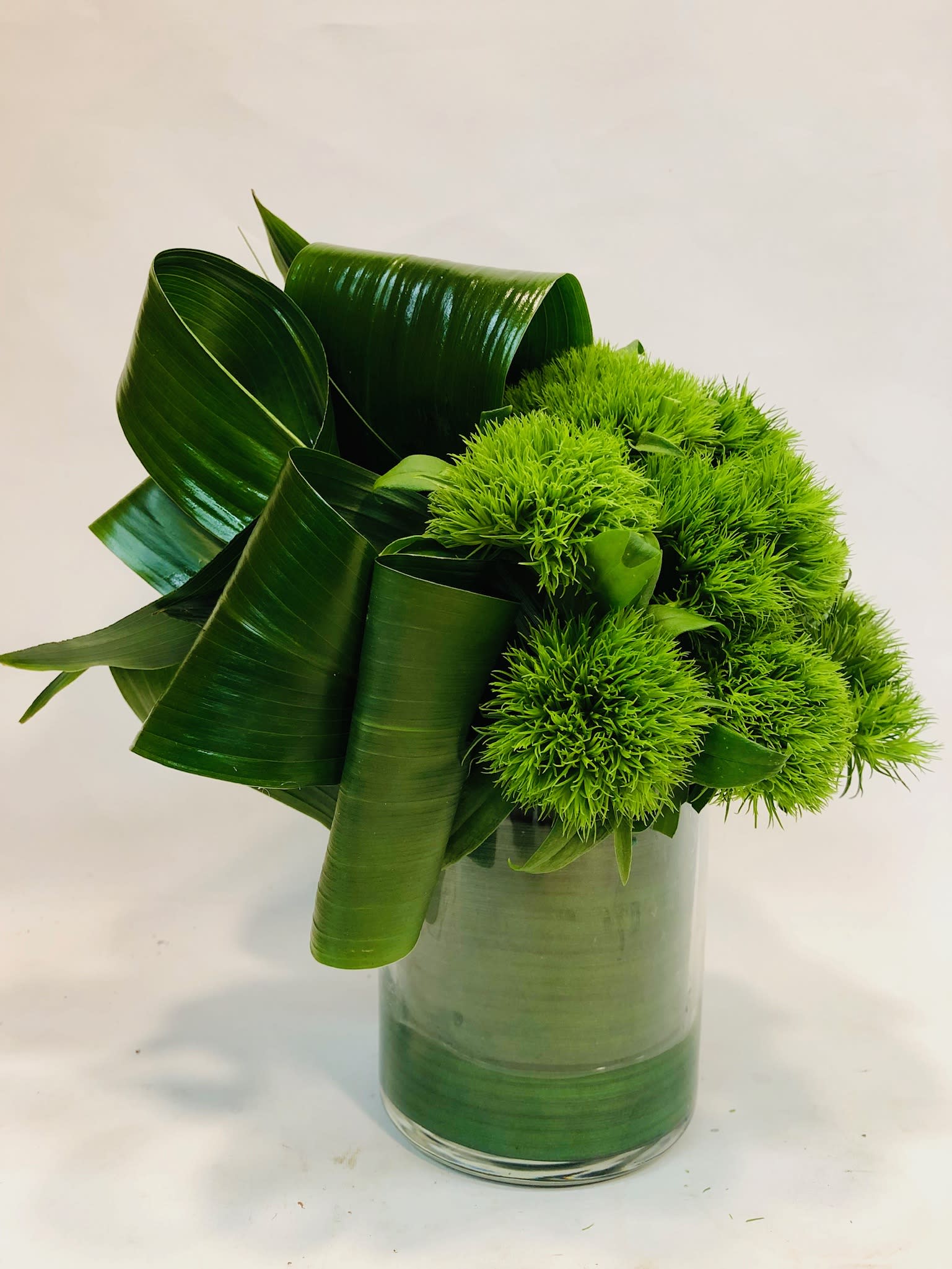 Green pompom flowers in a glass vase with large folded leaves