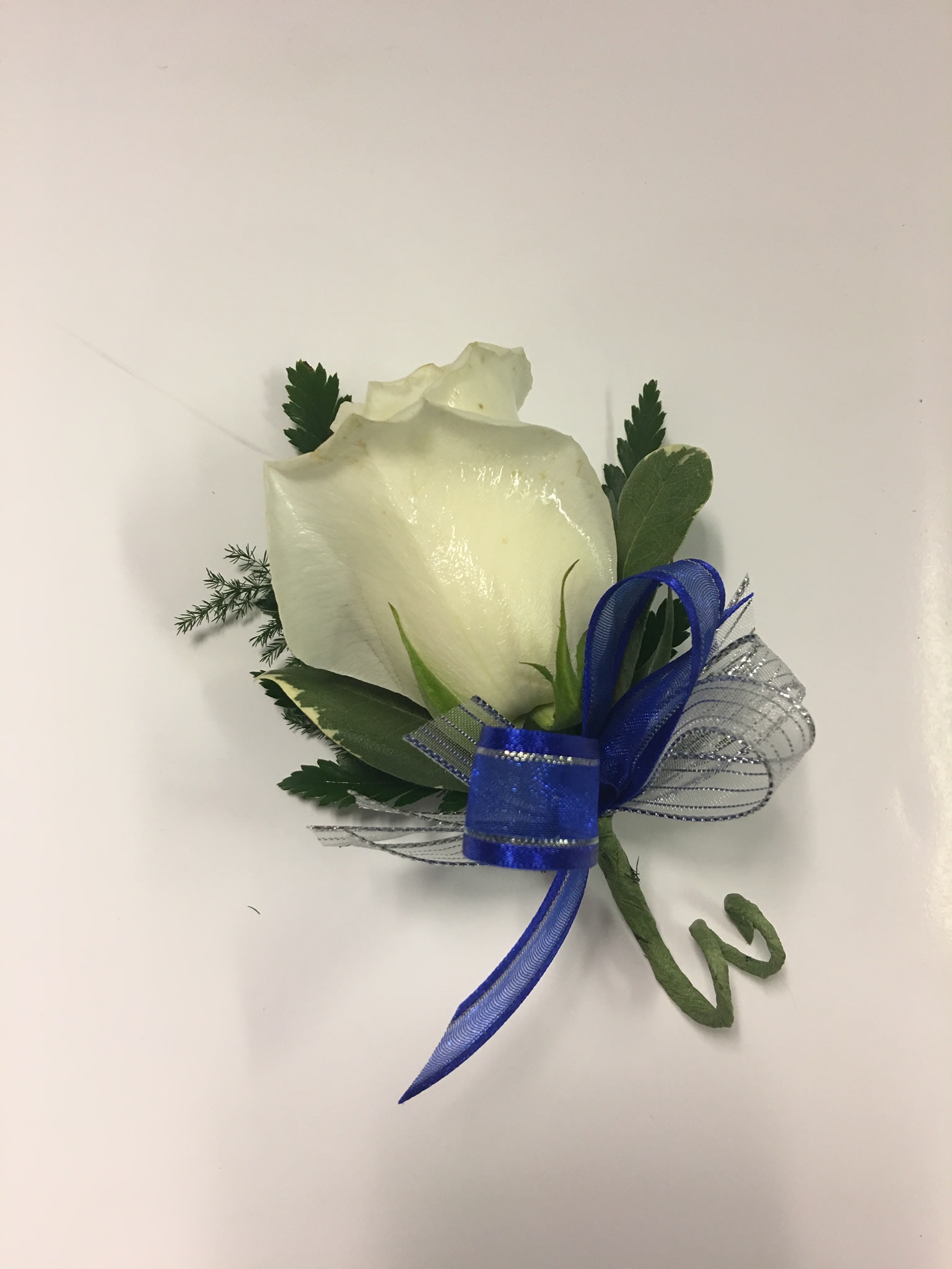 White rose boutonniere with blue ribbon and greenery