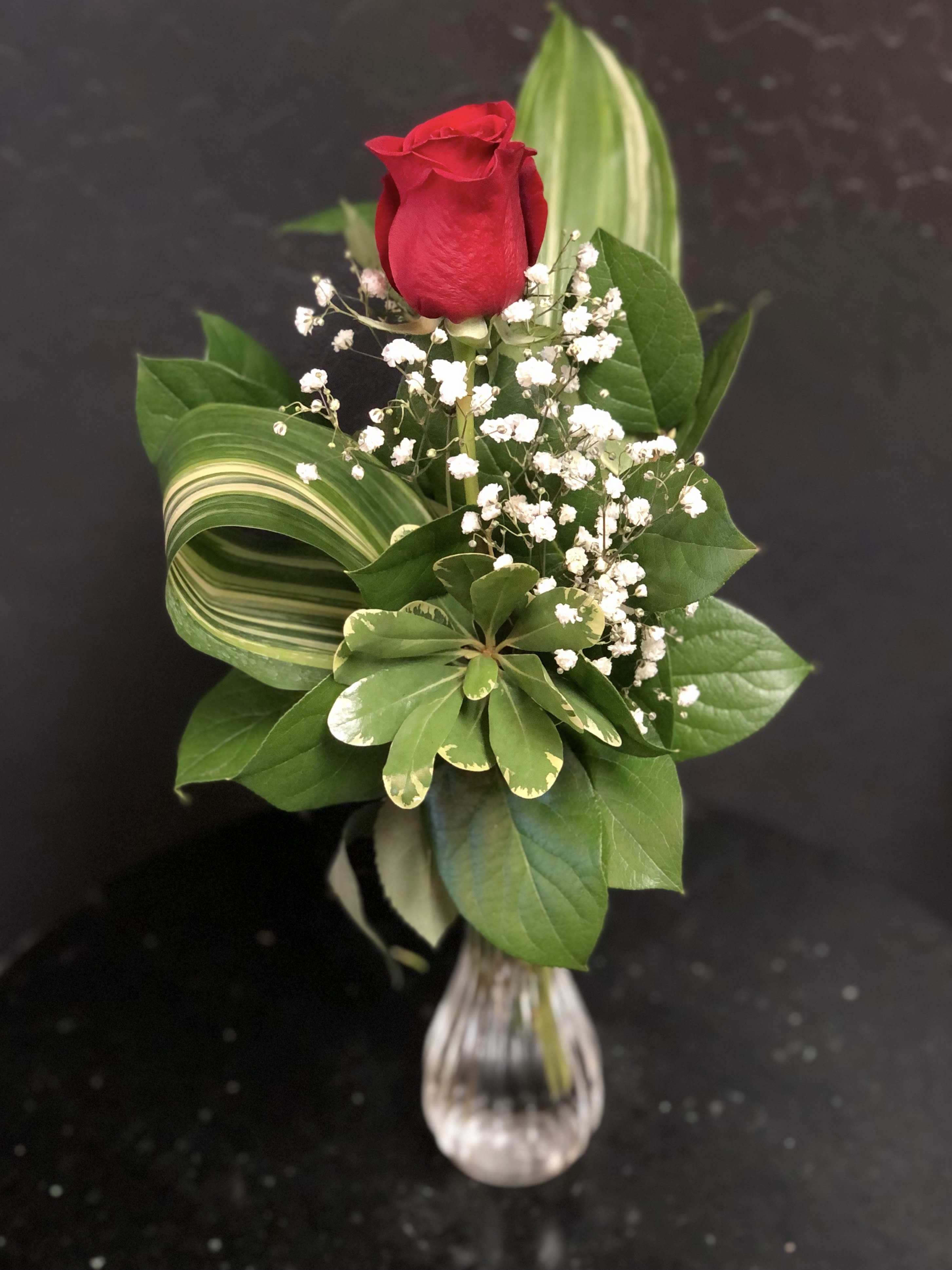 Single Rose in Vase - Single Rose arranged in vase