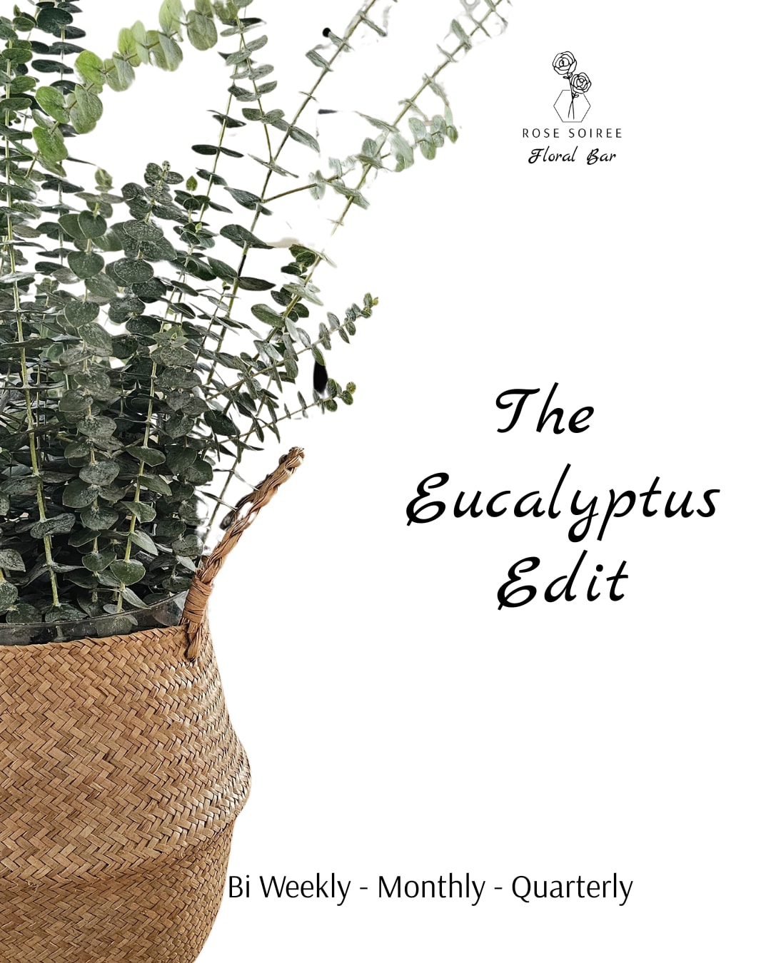 Potted eucalyptus in a woven basket planter