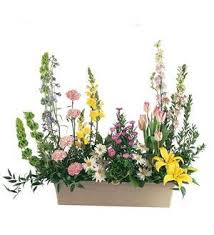 Mixed floral arrangement in a rectangular box with tall blooms