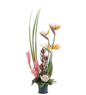 Tall tropical arrangement with bird of paradise and pink ginger in a dark vase