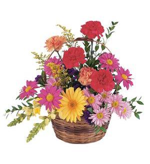 Colorful mixed flower basket with daisies and carnations