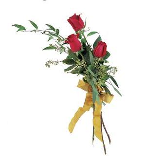 Three red roses tied with a yellow ribbon