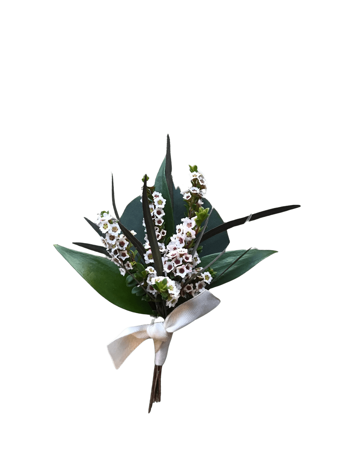 Small bouquet of white flowers with dark green leaves and a white ribbon