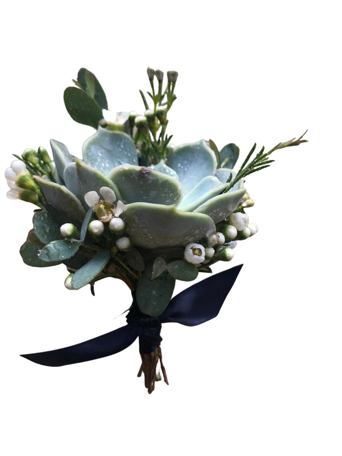 Succulent bouquet with small white blossoms and a dark ribbon