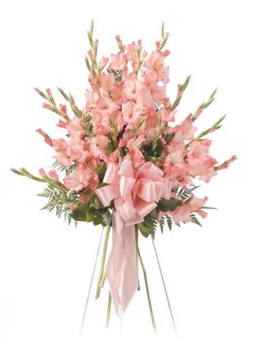 Pink gladiolus standing spray with a satin ribbon