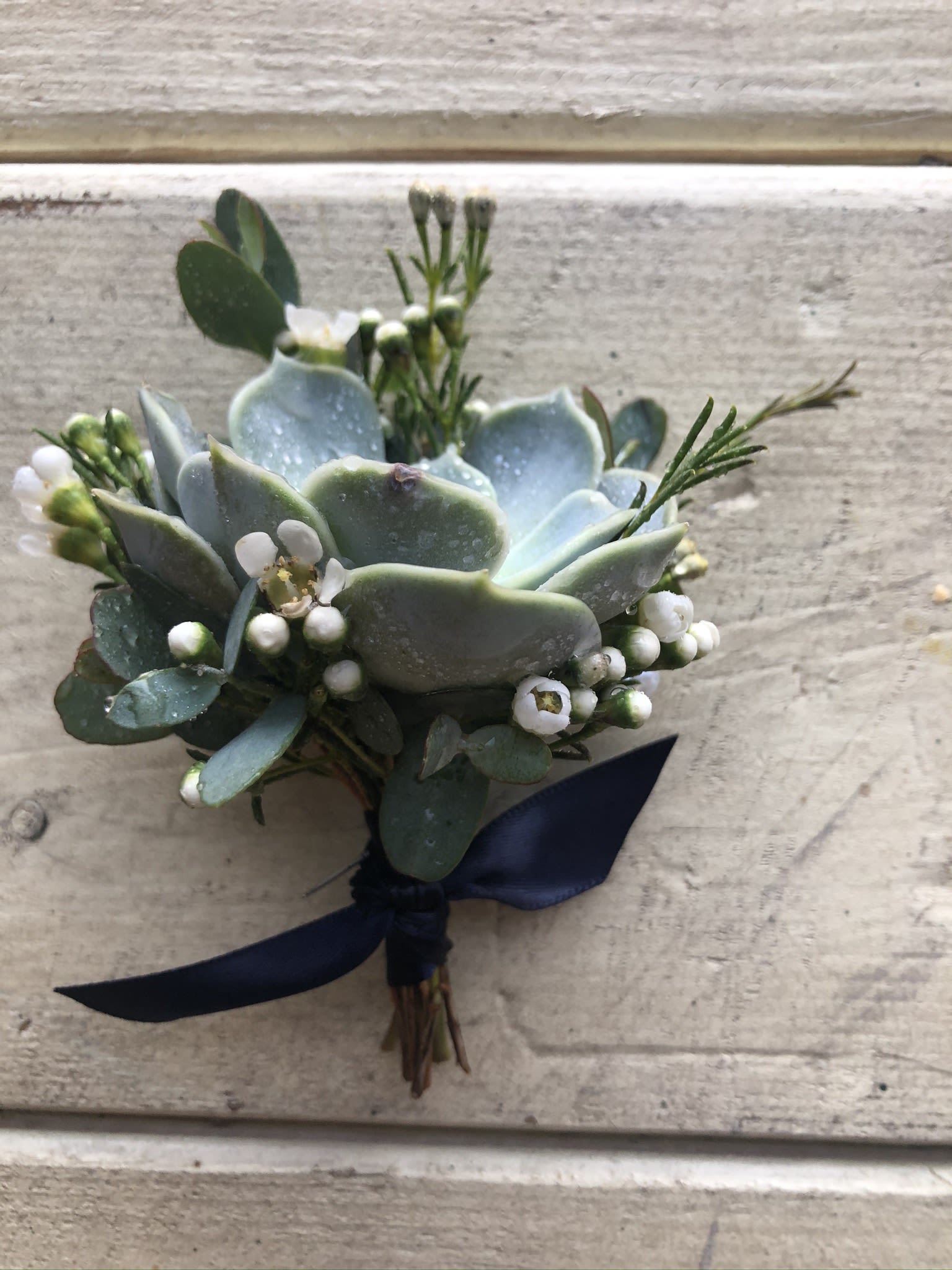 Small succulent boutonniere with white buds and a navy ribbon