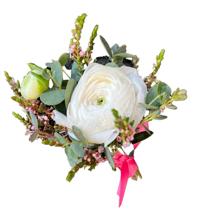 White ranunculus boutonniere with pink ribbon and greenery