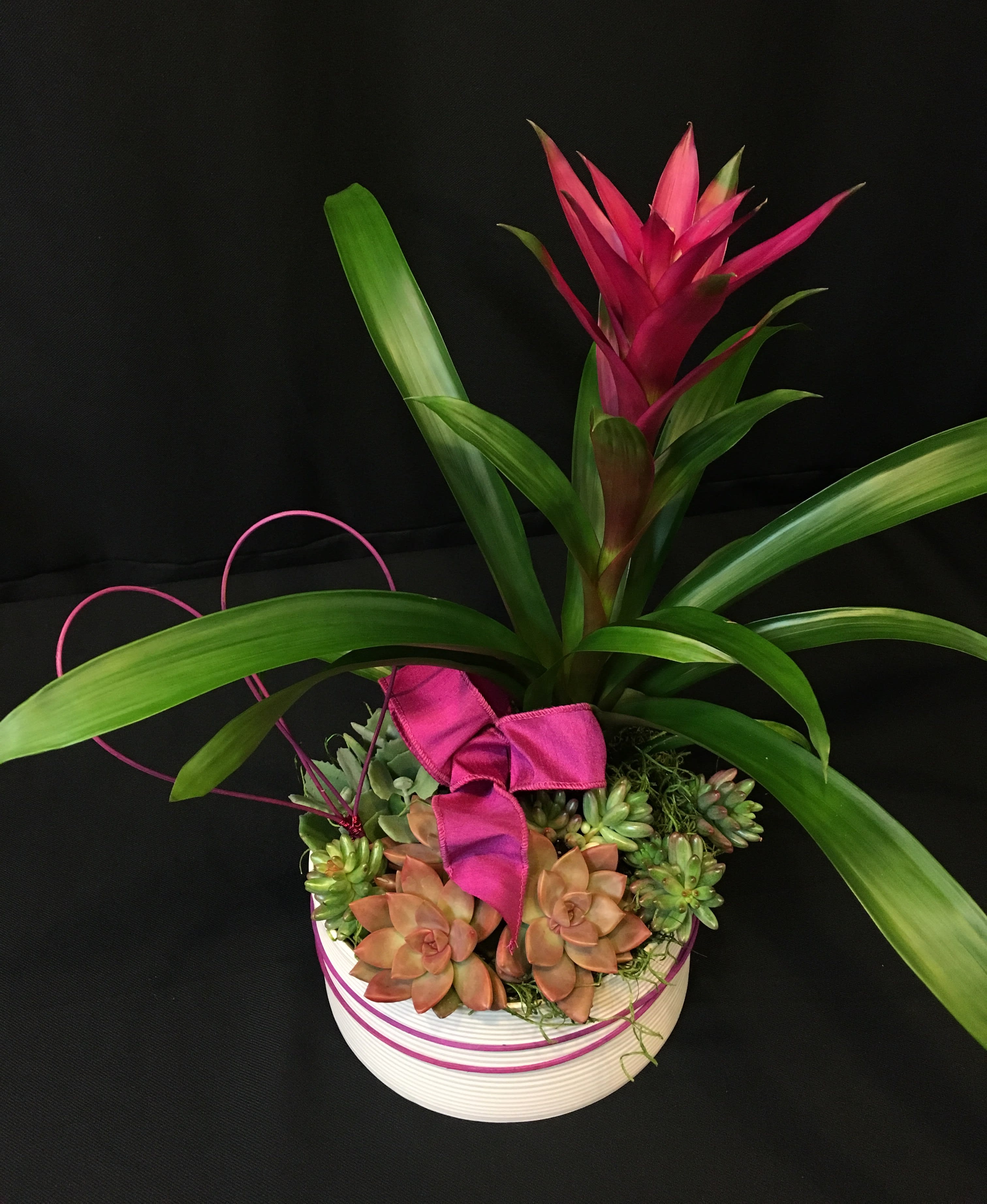 Pink Bromeliad Planter with Succulents - Tropical getaway in a pot.  Living and long lasting succulents and an exotic bromeliad plant with heart accent decor.  Container and plants may vary,  Colors may vary, especiall with less than 3 weeks notice prior to Valentine's day.