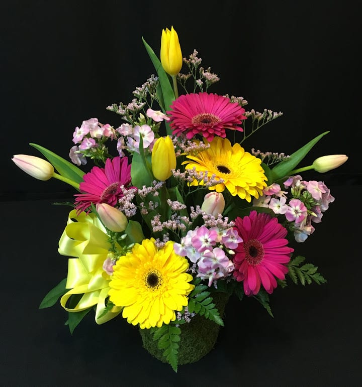 Bright mixed bouquet with gerbera daisies and tulips in a moss-covered container
